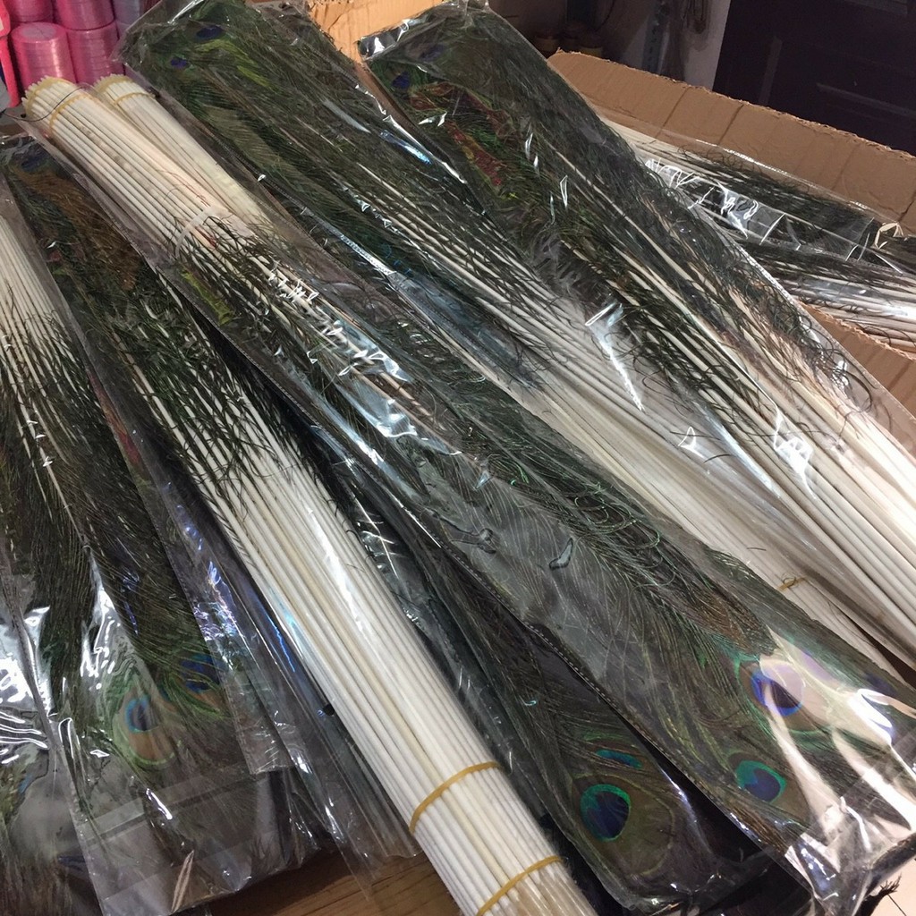 [Giá hủy diệt] Combo 10 cây lông công phong thủy mắt to, hàng đẹp ( Qúy khách vui lòng xem kĩ mô tả để chọn đúng mã hàn