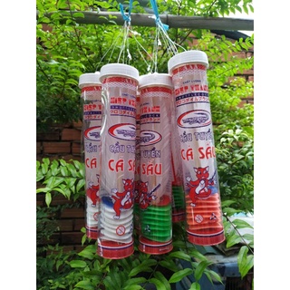 Cầu Đá Long Gà Sét 1 trái ( Cá Sấu Liên Hiệp Thành )