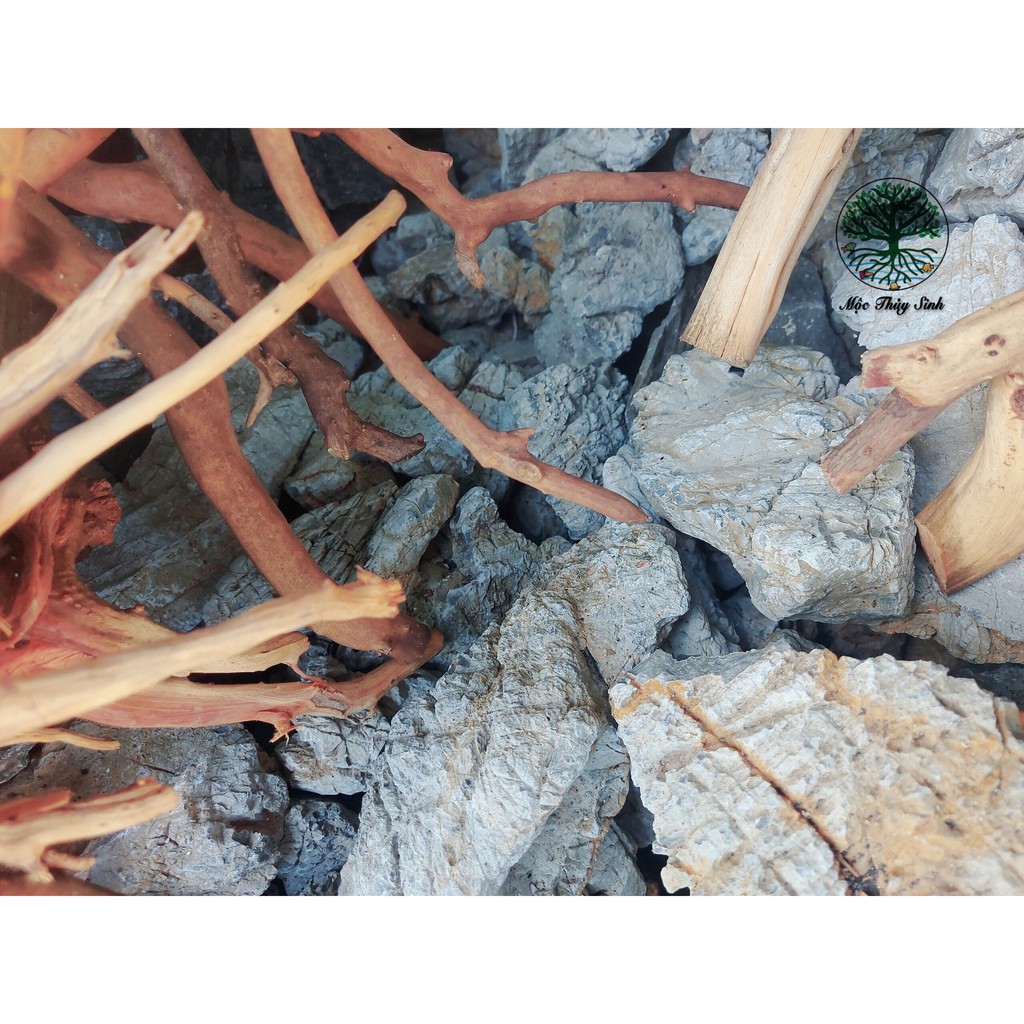 Đá da voi SIÊU VÂN trang trí hồ thuỷ sinh