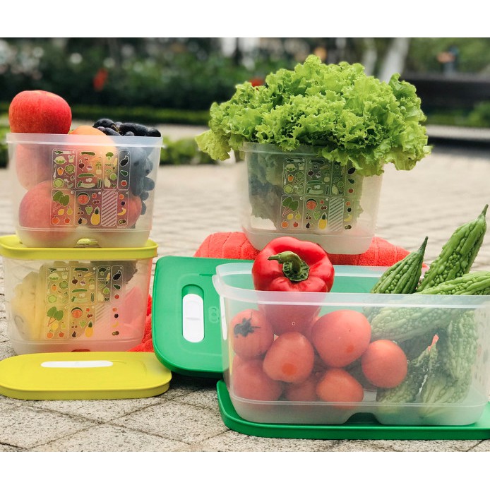 Bộ hộp trữ mát có nút hô hấp Tupperware Ventsmart 4 hộp