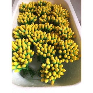 Nụ hoa đất sét ( hoa mai)