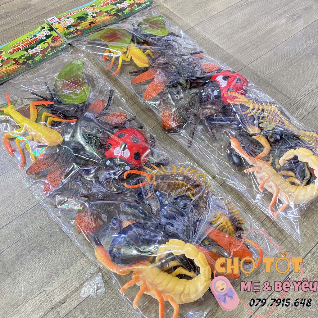 Bộ Đồ Chơi Côn Trùng Bằng Nhựa Dẻo Loại Lớn (HT)