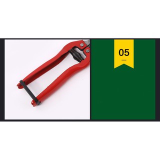 Kéo cắt tỉa cành hoa lá 18,5cm - DEVELOPE 899