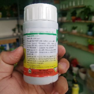 Dung dịch thủy canh Bio life