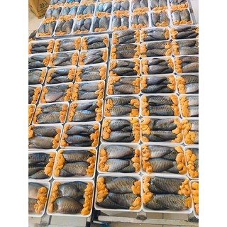 CÁ SẶC TRỨNG 1 NẮNG 500gr (hoả tốc HCM)