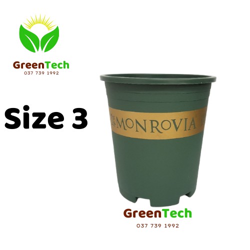 [ Giá Sỉ ] Chậu Nhựa MONROVIA 2GL Việt Nam - Chậu Trồng Cây Cảnh, Hoa