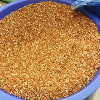 GẠO LỨT ĐỎ ĐIỆN BIÊN ( 2 KG )