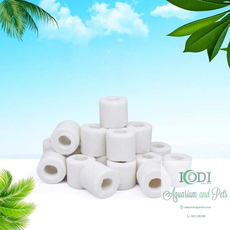 Vật liệu lọc nước bể cá sứ lỗ trắng