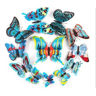 Bộ 12 bướm 3D 4 cánh