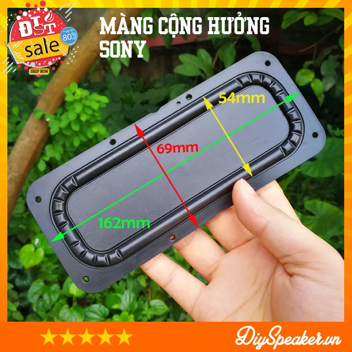 Màng loa cộng hưởng bass Sony 162*69 và 88*48 hỗ trợ siêu bass, chế loa siêu trầm bluetooth từ DiySpeaker