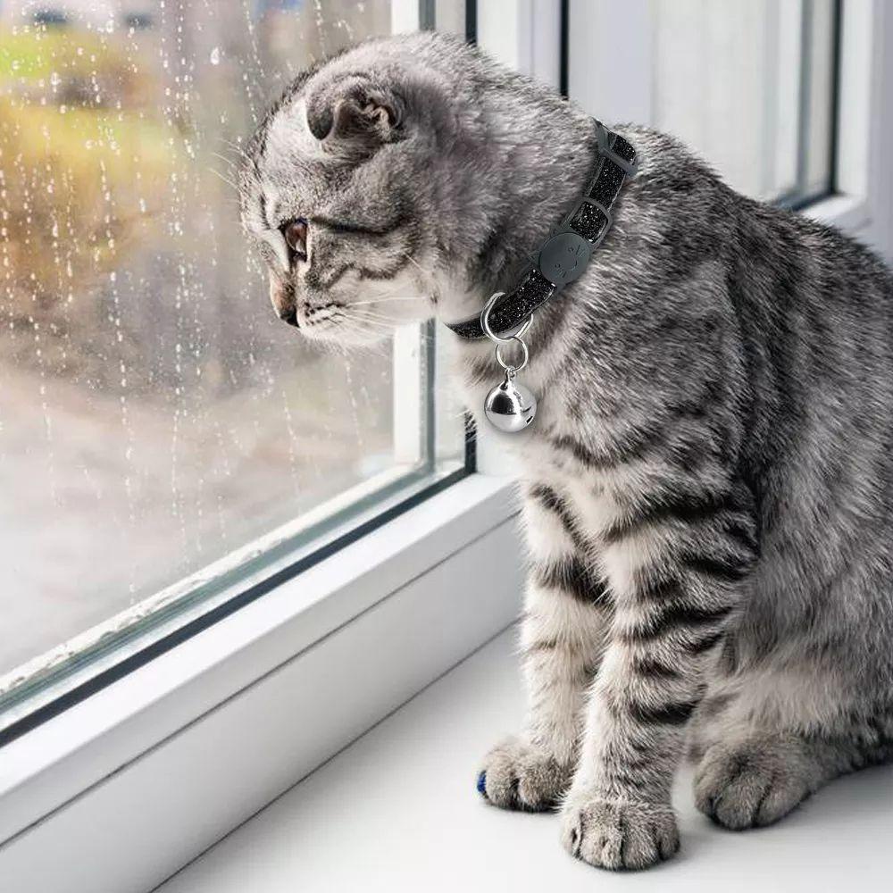 Vòng Cổ Có Chuông Cho Thú Cưng