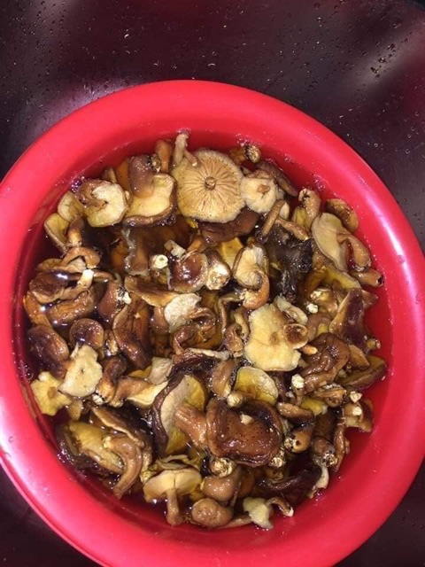 1kg.NẤM HƯƠNG TÂY BẮC