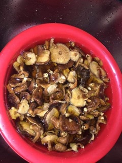 1kg.NẤM HƯƠNG TÂY BẮC