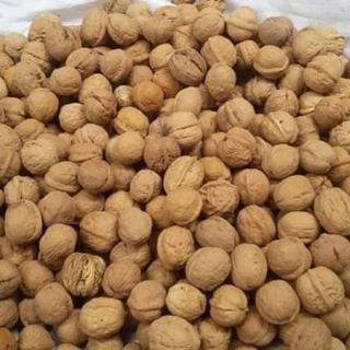  Quả óc chó là một loại quả rất tốt cho sức khỏe con người, có chứa hàm lượng protein chất lượng