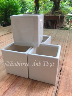 Chậu Vuông Cao, Chậu Vuông Trang Trí , chậu sứ bát tràng 10cmx10cm