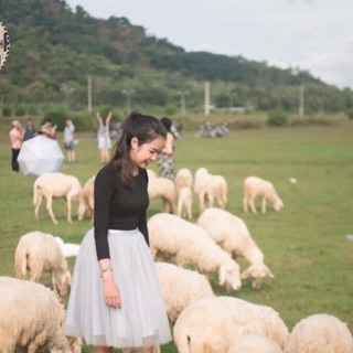 Váy tulle 4 lớp
