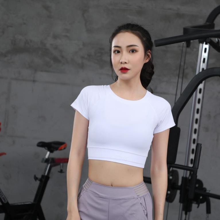 Áo Tập Gym Nữ Tập Yoga FREESHIP Đồ Thể Thao Vải Cao Cấp Thông Thoáng Co Dãn 4 Chiều Thấm Hút Mồ Hôi DX062