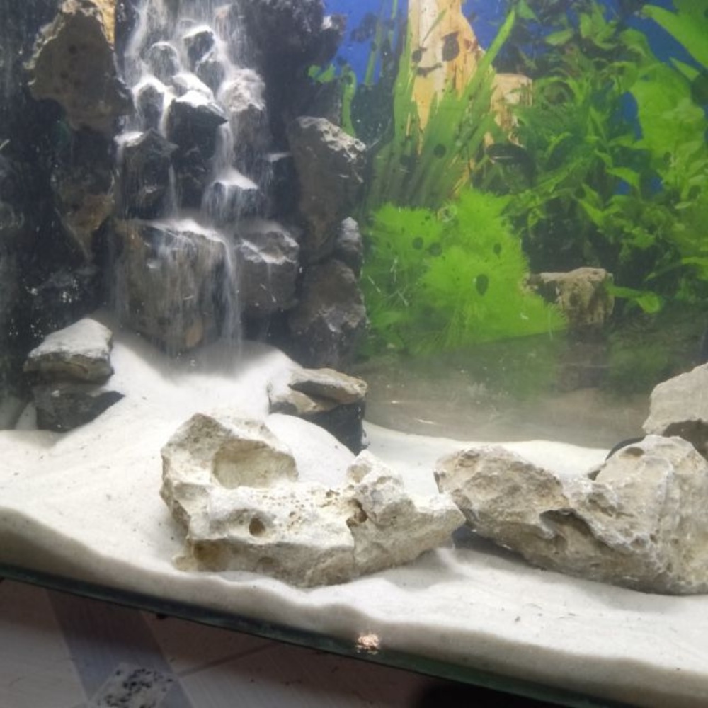 Cát trắng trang trí hồ cá 500g