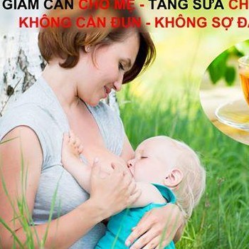 combo 3kg chè vằng lợi sữa