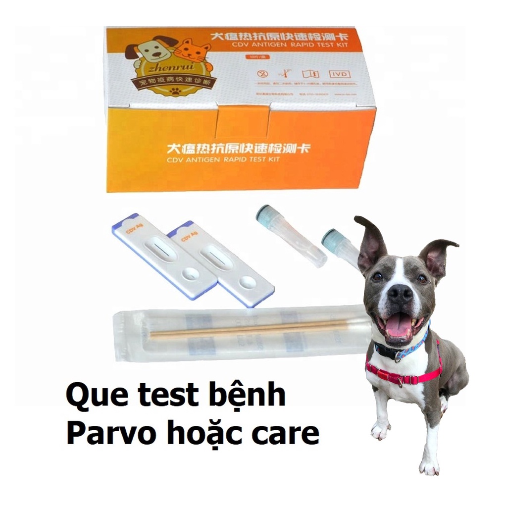 HCM- 1 Que test bệnh PARVO và CARE cho chó (CPV CDV) dụng cụ phòng khám chó mèo / que thử bệnh parvo tại nhà