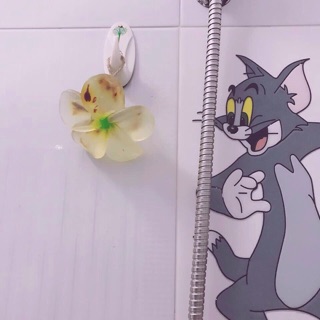 Sáp thơm phòng của thái