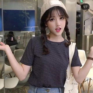 [HOT HIT ÁO PHÔNG KẺ] Áo form Hàn Quốc, có clip và ảnh thật