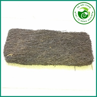 dớn bảng trồng, ghép lan 40x20x2,5 1cái