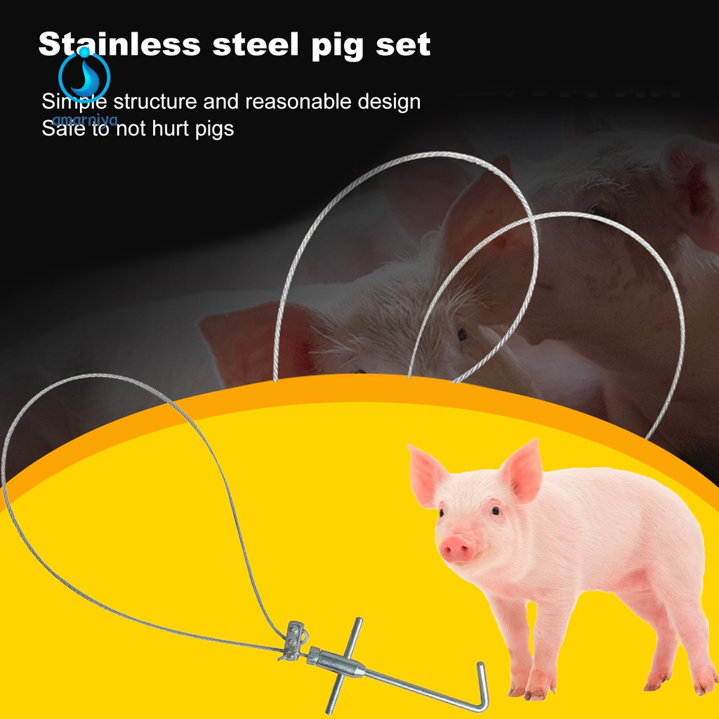 Dụng cụ bắt heo bằng thép không gỉ chống ăn mòn có thể điều chỉnh được