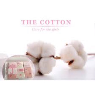 Combo quần chip cho bé chất cotton cực đẹp