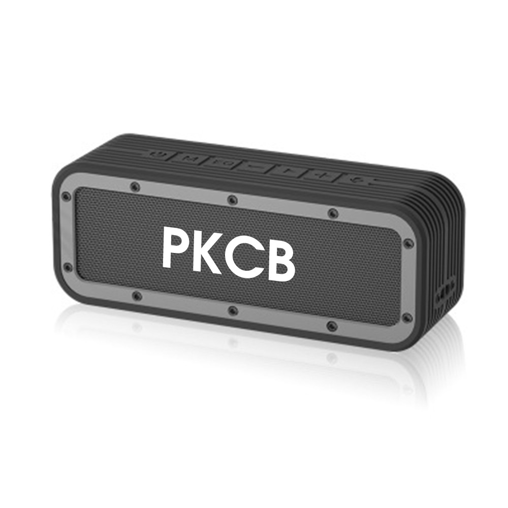 Loa bluetooth PKCB93 5.0 50W công suất lớn chống nước IPX7, pin 6600mah - Hàng chính hãng