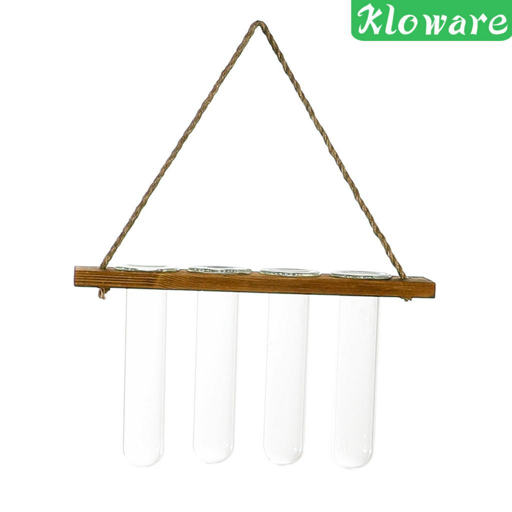 Chậu Kính Trồng Cây Có Móc Treo Tiện Dụng