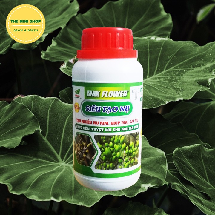 Chai 250ml Phân bón Max Flower siêu tạo nụ, dưỡng nụ, tạo hoa cho hoa mai, mai vàng