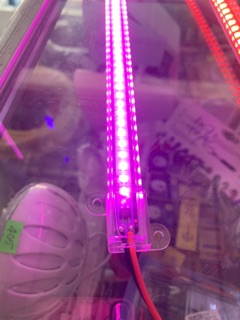 ⚡️Led Thanh 220V - 30cm - ⚪️🟡🟣🔴🟢🔵
