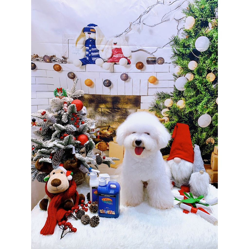 Sữa tắm trắng giữ màu tinh chất sâm cho chó & mèo