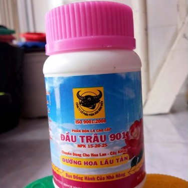 1 lỌ ĐẦU TRÂU 901 DƯỠNG HOA LÂU TÀN