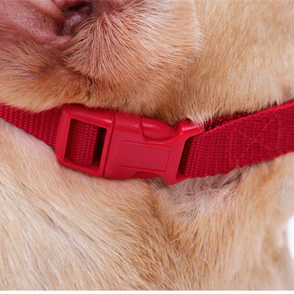 Dụng Cụ Hỗ Trợ Tập Thể Thao Chuyên Dụng