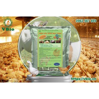 1kg Men vi sinh rắc chuồng - Đệm lót sinh học chăn nuôi
