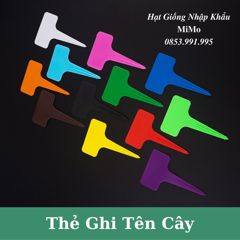 Thẻ ghi tên cây trồng - Đánh dấu thông tin và trang trí cây trồng, decor sân vườn