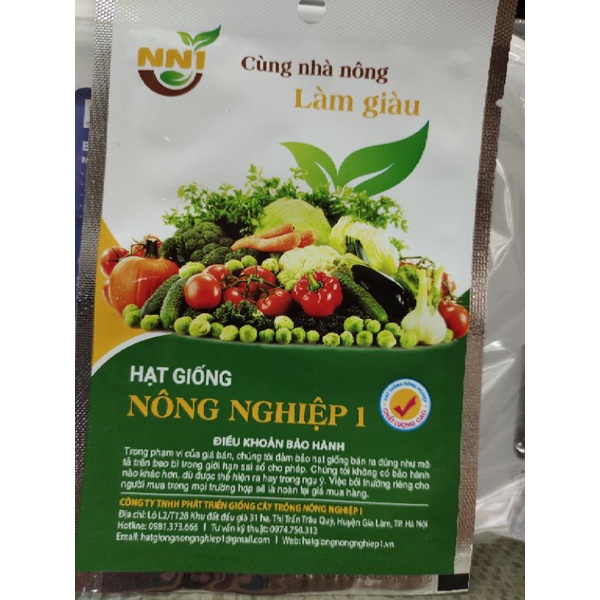 HẠT GIỐNG DƯA CHUỘT NẾP- DƯA LEO BỐN MÙA