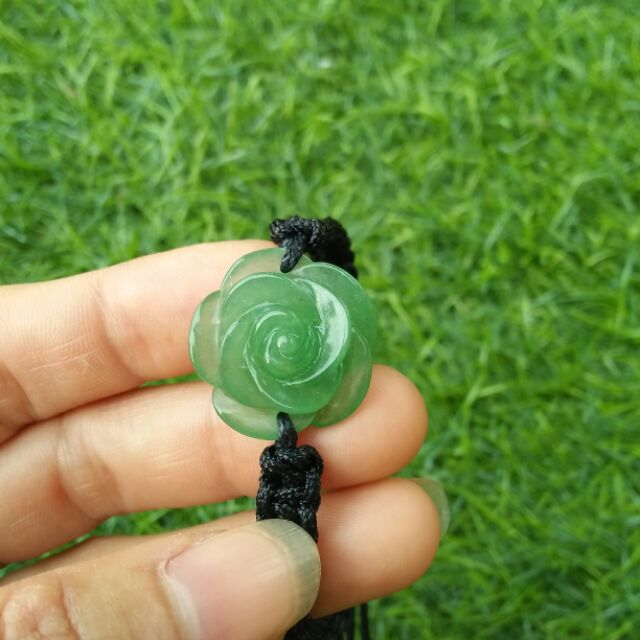 Hoa mẫu đơn