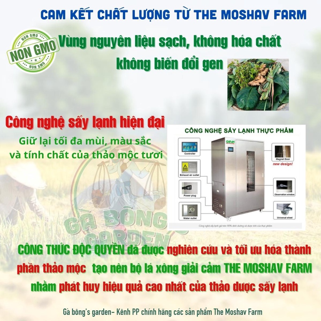 Lá Xông Giải Cảm The Moshav Farm Tăng Đề Kháng, Gói Xông Thảo Dược Sấy Khô Thải Độc 100g