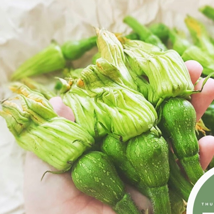 Hạt Giống Bí Ăn Nụ Giòn Ngọt Gói 10H