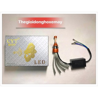 Đèn Pha Led CYT xịn - Chân T19 - 2 Tim