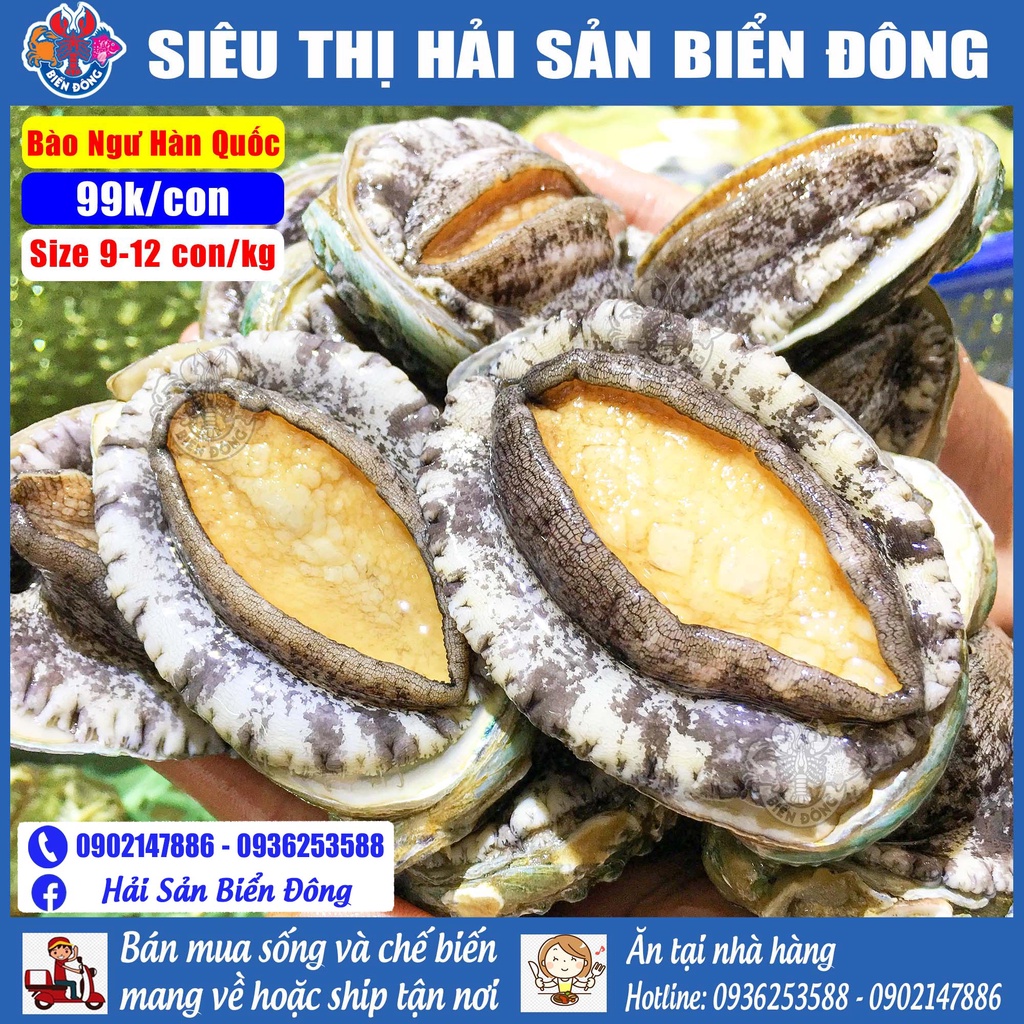 BÀO NGƯ HÀN QUỐC loại to 10-12 con/kg đang bơi, sản phẩm của Hải Sản Biển Đông ở Hà Nội