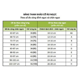 Áo ngực cho con bú - Hàng cao cấp