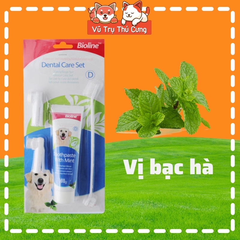 Bộ bàn chải và kem đánh răng cho Chó Bioline 100g, sạch răng, giảm hôi miệng thú cưng