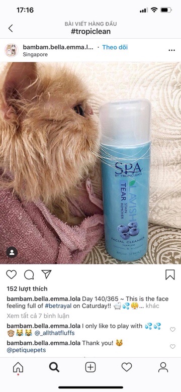 Rửa mặt trị ố cho chó mèo TropiClean