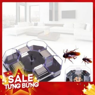 Dụng cụ bẫy bắt gián thông minh