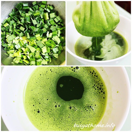 Lốc 6 chai Tinh chất hương lá dứa - lá nếp có màu 3K - PL48A