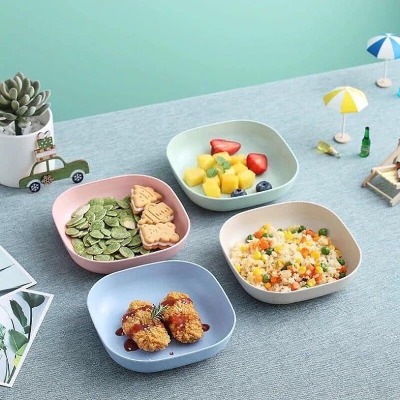 COMBO 8C ĐĨA LÚA MẠCH,màu paster ngọt ngào